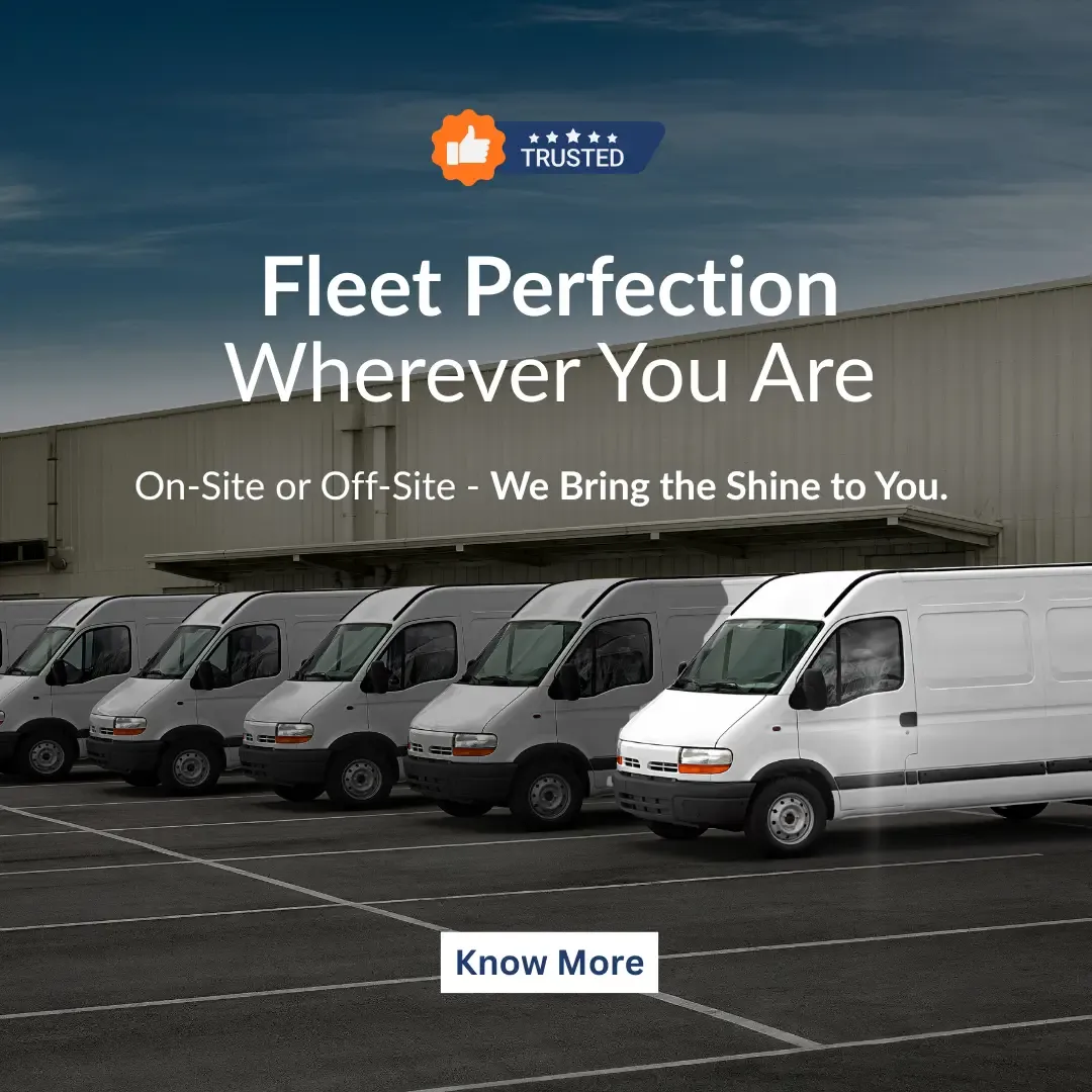 Fleet grooming Hamilton